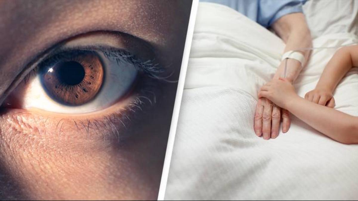 You are currently viewing Beyond Belief: Scientists Resurrect Eyes After 5 Hours